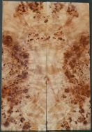 Burl Poplar TOP