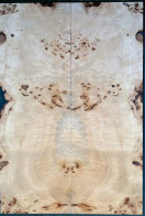 Burl Poplar Top