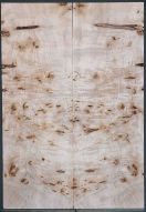 Burl Poplar Top