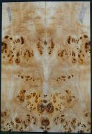 Burl Poplar top