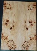 Burl Poplar top