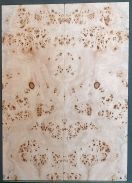 Burl Poplar Top