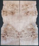 Burl Poplar Top