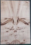Burl Poplar Top