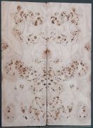 Burl Poplar Top