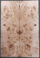 Burl Poplar Top
