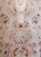 Burl Poplar Top