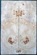 Burl Poplar Top