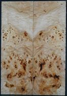 Burl Poplar top