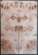 Burl Poplar Top