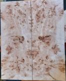 Burl Poplar tops