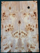 CARVED TOP BURL POPLAR