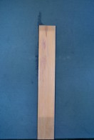 Plum Neck Wood