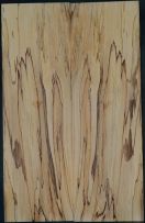 Spalted Beech