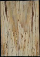 Spalted Beech