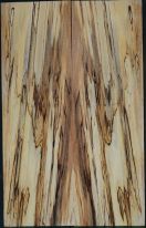 Spalted Beech
