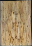 Spalted Beech