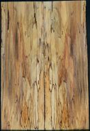 Spalted Beech