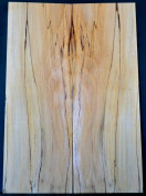 Spalted Beech 2A