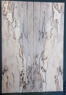 Spalted Maple