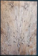 Spalted Maple