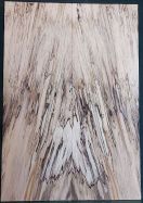 Spalted Maple