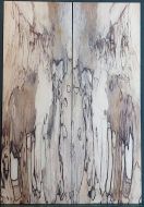 Spalted Maple