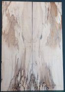 Spalted Maple