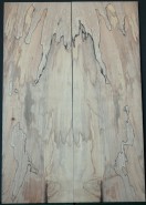 Spalted Maple Top