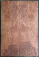 Spalted Walnut