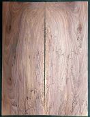Spalted Walnut