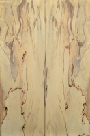 Spalted Maple Top