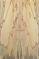 Spalted Maple Top