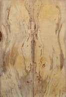 Spalted Maple Top