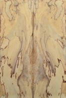 Spalted Maple Top