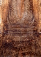 Spalted Walnut Top