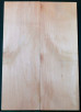 Alder European 2pc body blanks