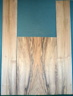 WALNUT BACK AND SIDES